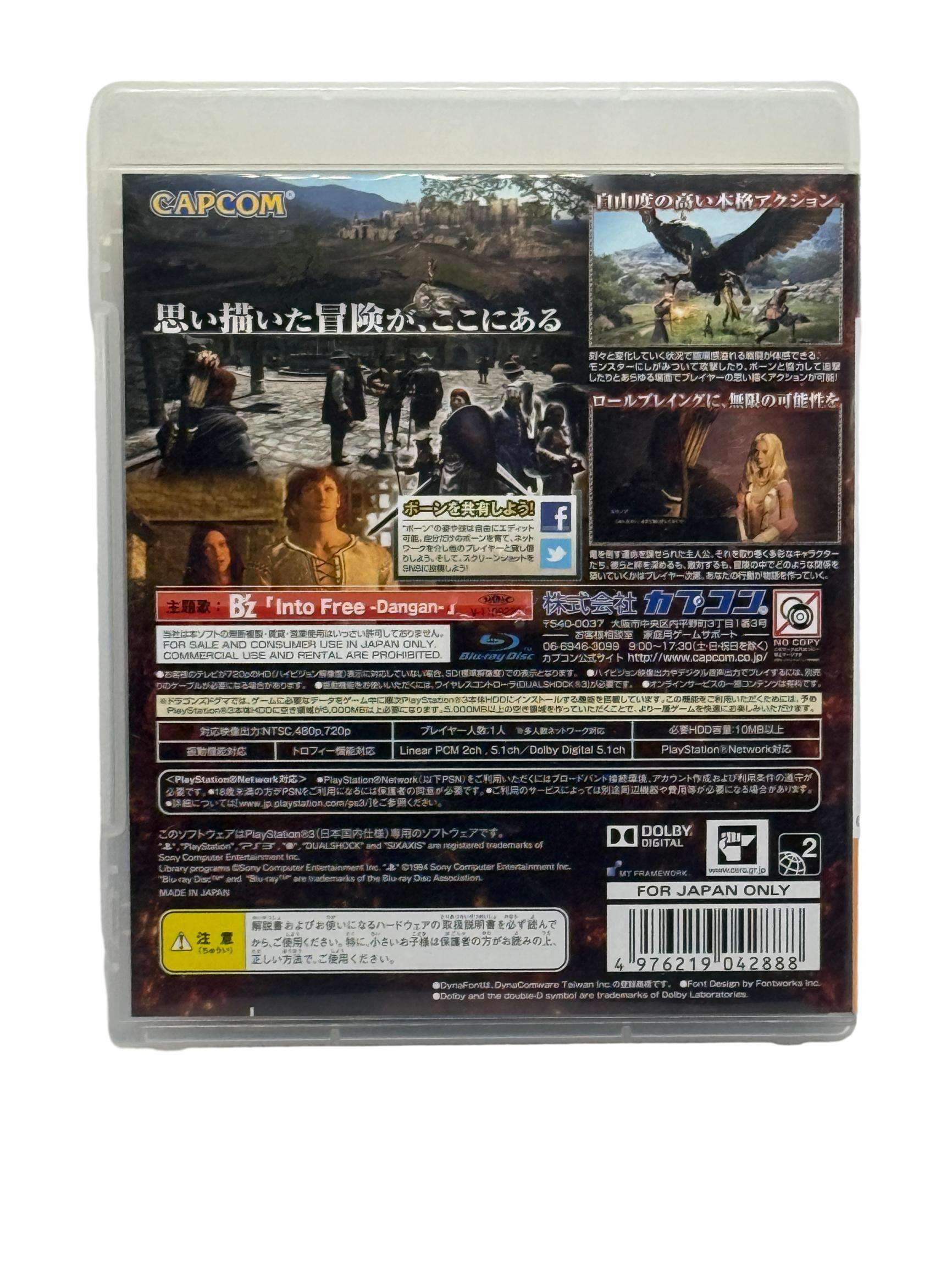 Dragon's Dogma – Image 2